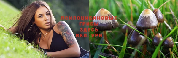 mix Вязьма