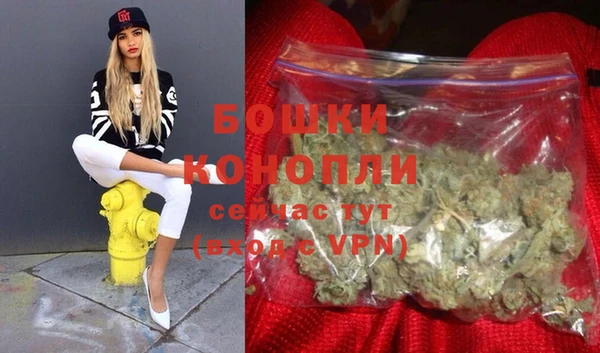 метадон Вяземский