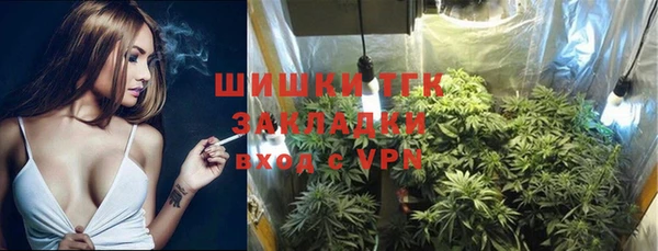 метадон Вяземский