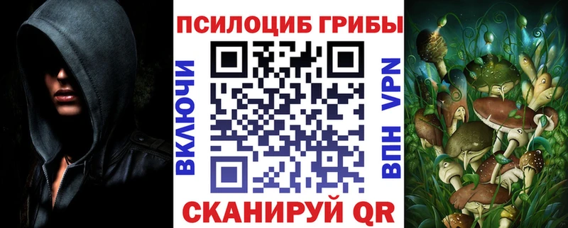 наркота  Камбарка  Галлюциногенные грибы Cubensis 